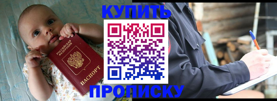 прописка поиск в Завитинске